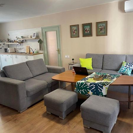 Nido Cozy 3Br Apartment Kapana Top Center 普罗夫迪夫 外观 照片